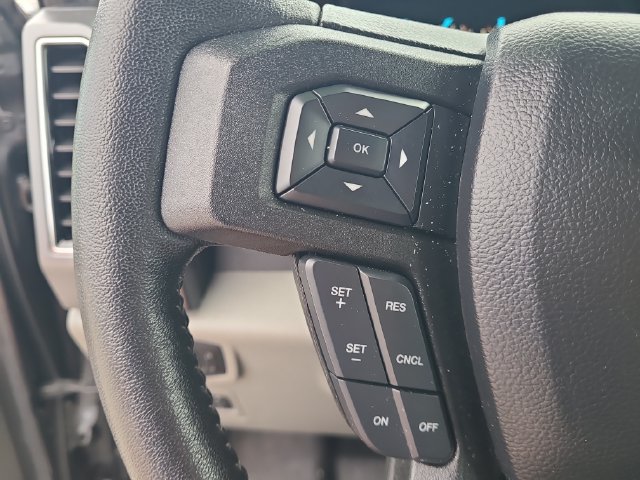 Used 2019 Ford F150 XLT w/ Equipment Group 302A Luxury AWD/4WD image 21