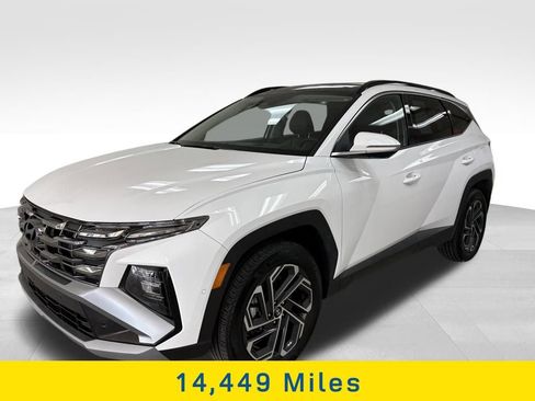 Used 2025 Hyundai Tucson Limited AWD/4WD image 3