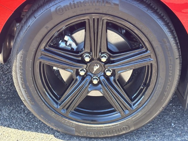 Used 2026 Ford Mustang Coupe RWD image 9