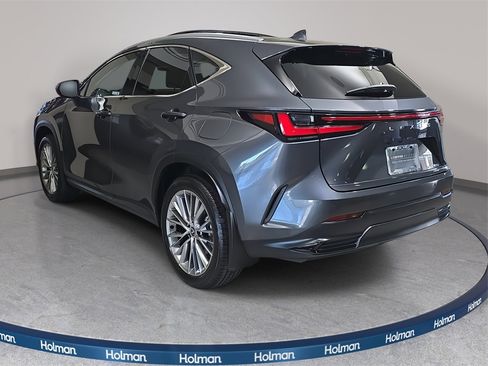 Certified 2025 Lexus NX 350 AWD w/ Luxury Package image 7
