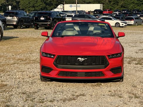 Used 2025 Ford Mustang Premium RWD image 2