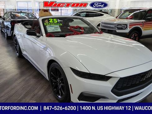 Used 2025 Ford Mustang Premium image 5