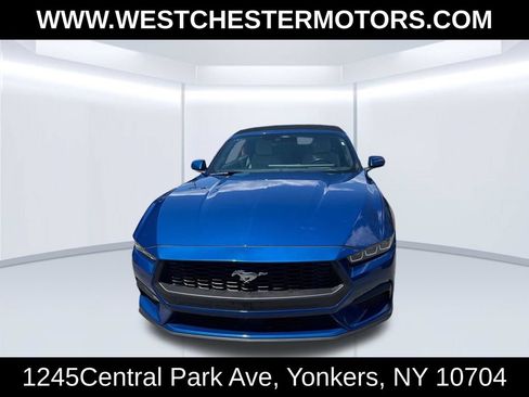 Used 2024 Ford Mustang Premium RWD image 2