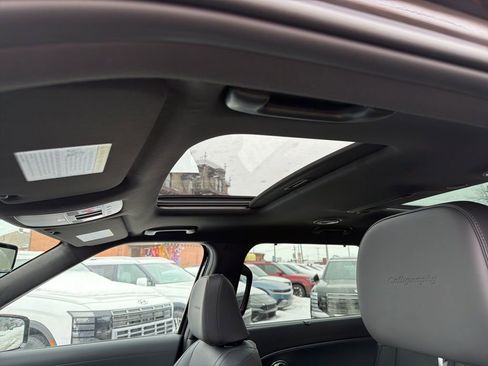 New 2026 Hyundai Palisade Calligraphy image 17