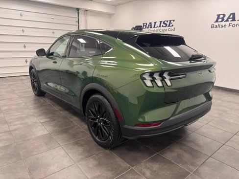 Used 2025 Ford Mustang Mach-E Select w/ Comfort Package Lite AWD/4WD image 5