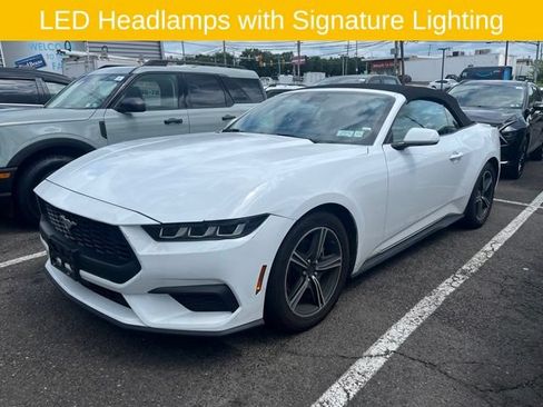 Used 2024 Ford Mustang Premium RWD image 2