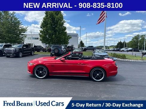 Used 2016 Ford Mustang GT Premium w/ Equipment Group 401A RWD image 4