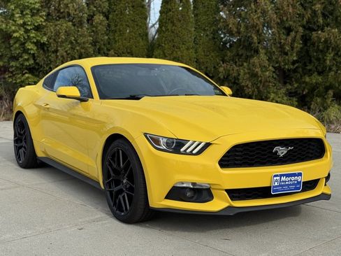 Used 2015 Ford Mustang Premium image 1