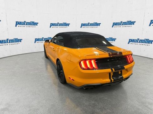 Used 2019 Ford Mustang GT Premium w/ Equipment Group 401A image 9