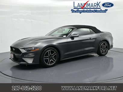 Used 2019 Ford Mustang Premium