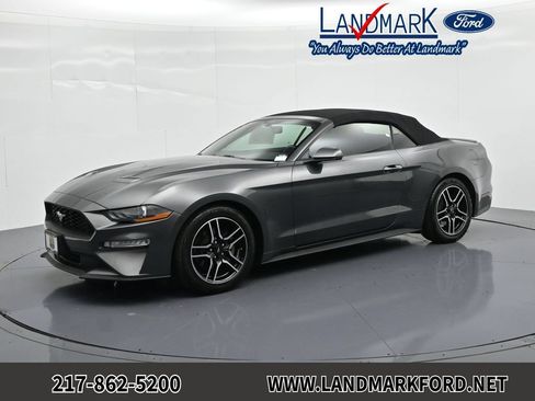 Used 2019 Ford Mustang Premium RWD image 1