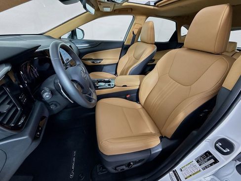 Certified 2025 Lexus NX 250 250 Premium image 21