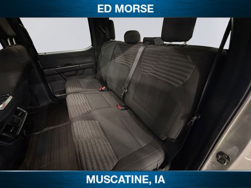 Used 2021 Ford F150 XL w/ STX Appearance Package AWD/4WD image 13