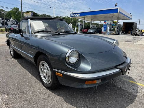 Used 1986 Alfa Romeo Spider Veloce image 7