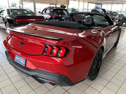 Used 2024 Ford Mustang Convertible w/ Mustang Nite Pony Package RWD image 5