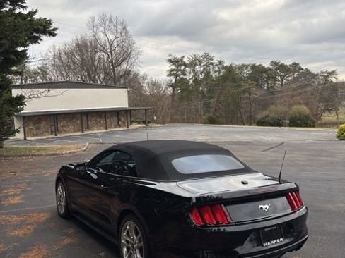 Used 2017 Ford Mustang Premium w/ Equipment Group 201A image 10