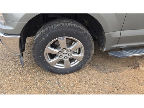 Used 2019 Ford F150 XLT w/ Equipment Group 302A Luxury RWD image 3