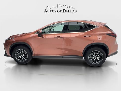 Used 2025 Lexus NX 250 FWD w/ Cold Area Package image 6