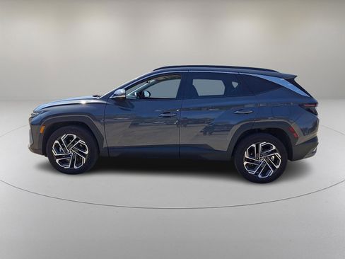 Certified 2025 Hyundai Tucson Limited AWD/4WD image 6