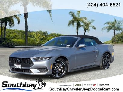 Used 2024 Ford Mustang Premium