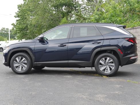 Used 2024 Hyundai Tucson Blue AWD/4WD image 3