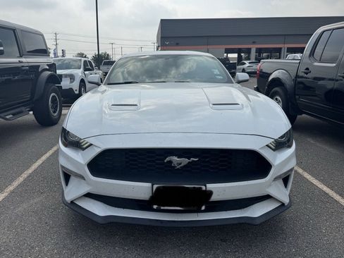 Used 2019 Ford Mustang Coupe w/ Equipment Group 101A RWD image 6