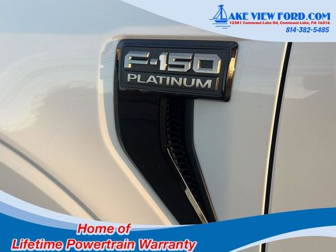 New 2025 Ford F150 Platinum w/ Equipment Group 702A High image 13