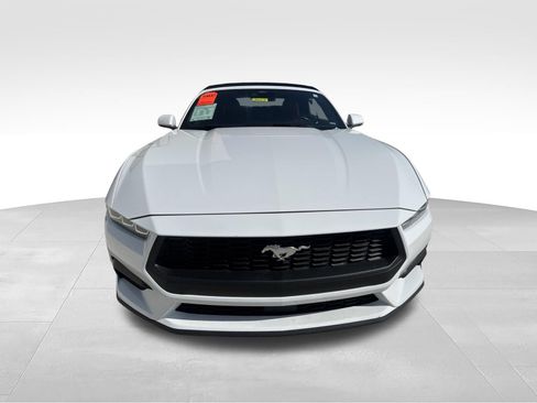 Used 2024 Ford Mustang Premium RWD image 2