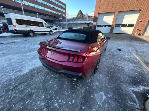 Used 2025 Ford Mustang Premium w/ Mustang Nite Pony Package image 9