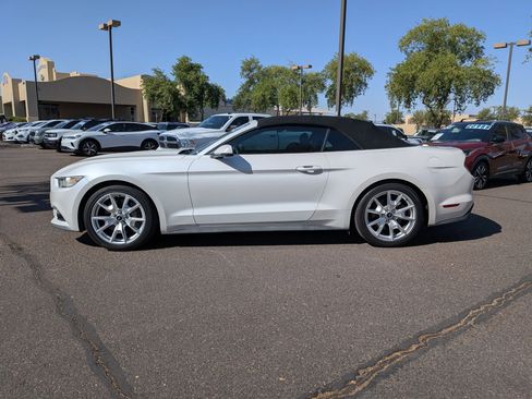 Used 2017 Ford Mustang Premium w/ Ecoboost Performance Package RWD image 9