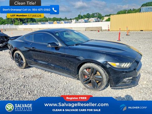 Used 2016 Ford Mustang Premium w/ Ecoboost Performance Package RWD image 5