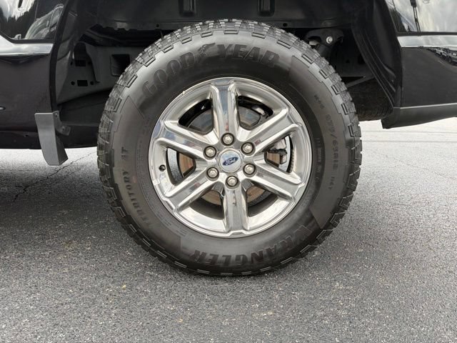 Used 2025 Ford F150 XLT w/ Equipment Group 301A Standard AWD/4WD image 6