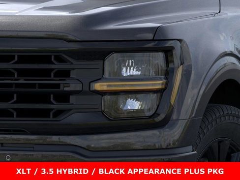 New 2025 Ford F150 XLT w/ Equipment Group 302A MID image 18