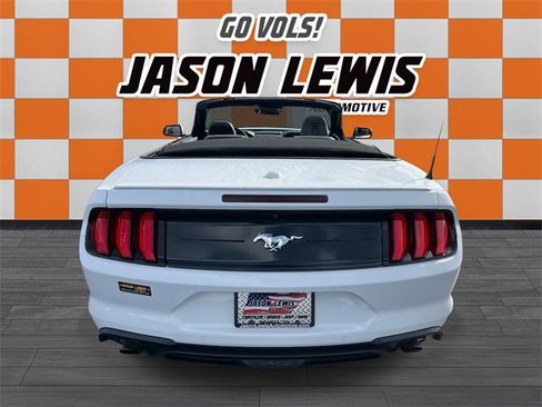 Used 2023 Ford Mustang Premium w/ Equipment Group 201A image 6