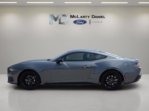 New 2026 Ford Mustang Coupe w/ Mustang Nite Pony Package RWD image 3