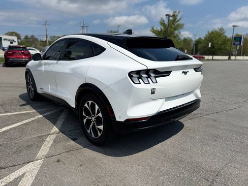 Used 2021 Ford Mustang Mach-E Premium AWD/4WD image 4
