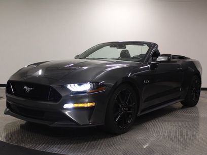 Used 2019 Ford Mustang GT Premium w/ Equipment Group 401A