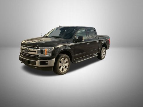 Used 2019 Ford F150 XLT w/ Equipment Group 302A Luxury image 1