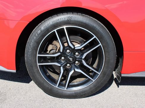 Used 2019 Ford Mustang GT Premium w/ Equipment Group 401A image 31