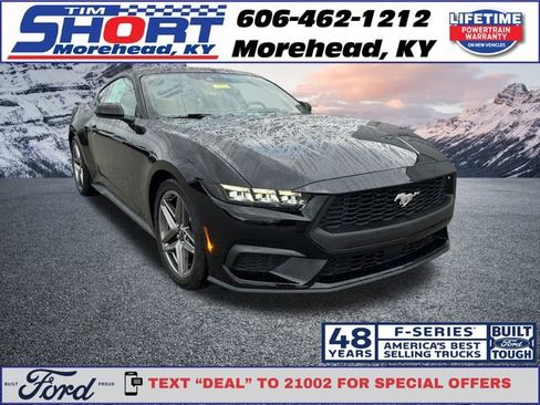 New 2026 Ford Mustang Coupe image 7