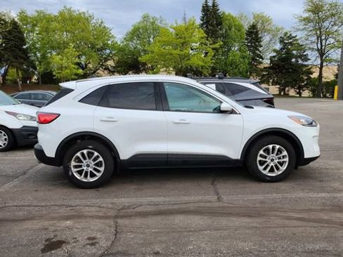 Used 2020 Ford Escape SE AWD/4WD image 4