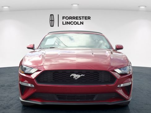 Used 2019 Ford Mustang Premium w/ Equipment Group 201A RWD image 12