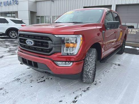 Used 2023 Ford F150 XLT w/ Equipment Group 302A High image 4