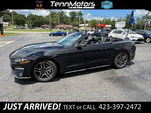 Used 2018 Ford Mustang Premium w/ Equipment Group 201A RWD image 1
