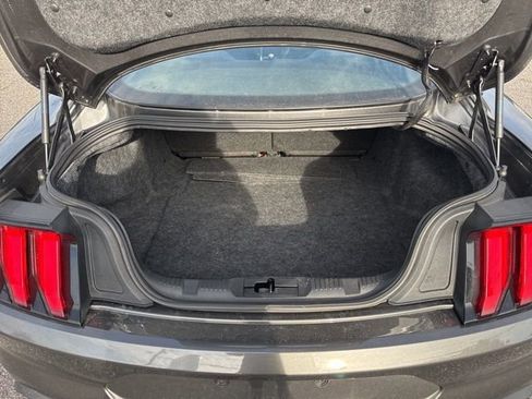 Certified 2019 Ford Mustang Coupe image 12