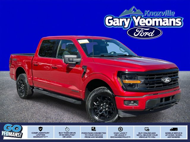 Used 2024 Ford F150 XLT w/ Equipment Group 302A MID AWD/4WD image 1