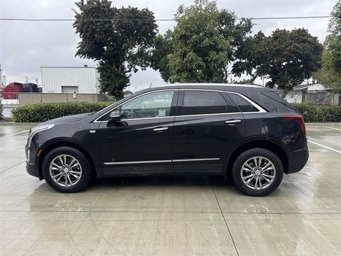 Used 2023 Cadillac XT5 Premium Luxury image 6