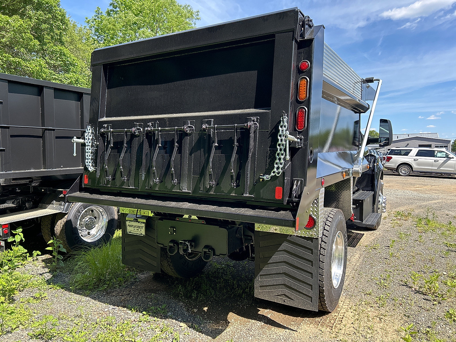 New 2025 Ford F650 2WD Regular Cab Super Duty image 4