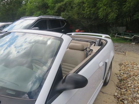 Used 2001 Ford Mustang GT RWD image 14