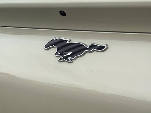 Used 2025 Ford Mustang Mach-E Select AWD/4WD image 16